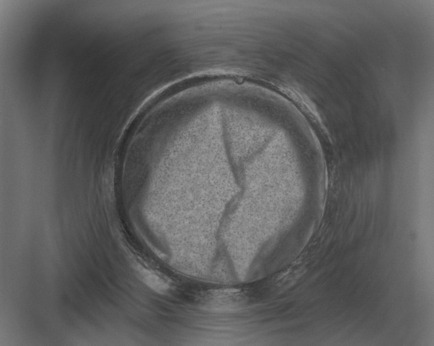 X0000082930108200702152157