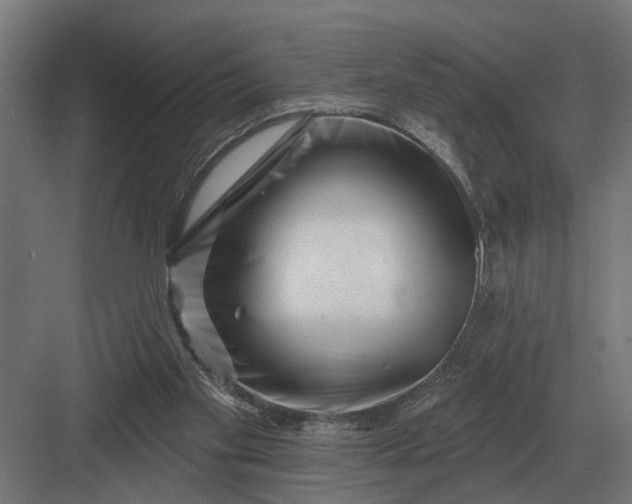 X0000082930109200702152157