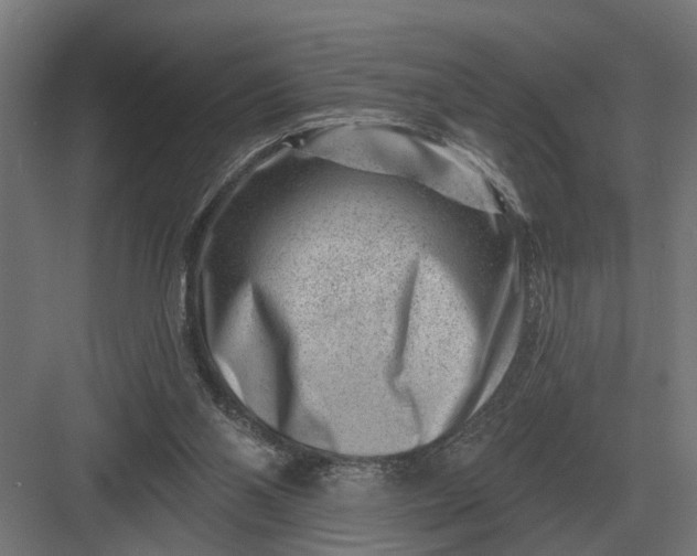 X0000082930110200702152157