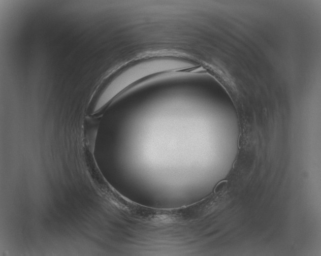 X0000082930111200702152157