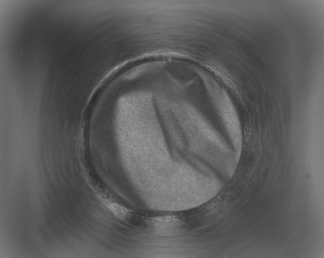 X0000082930112200702152157