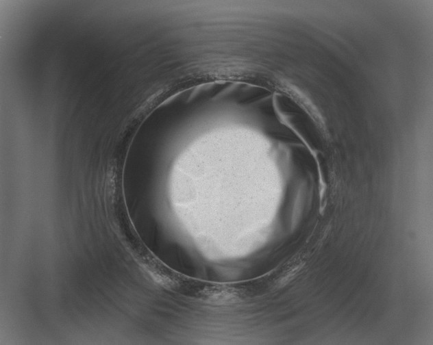 X0000082930113200702152157