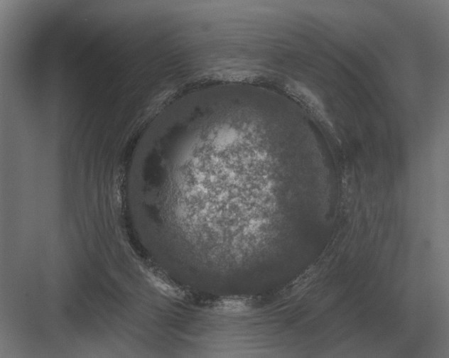 X0000082930114200702152157