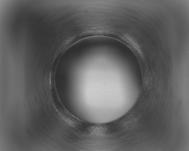 X0000082930115200702152157