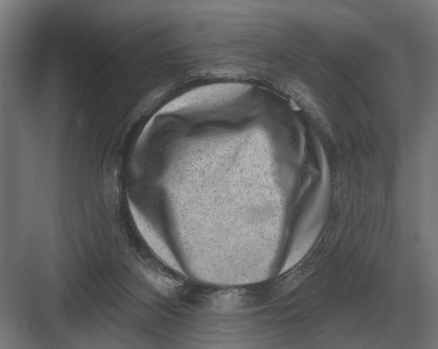 X0000082930116200702152157