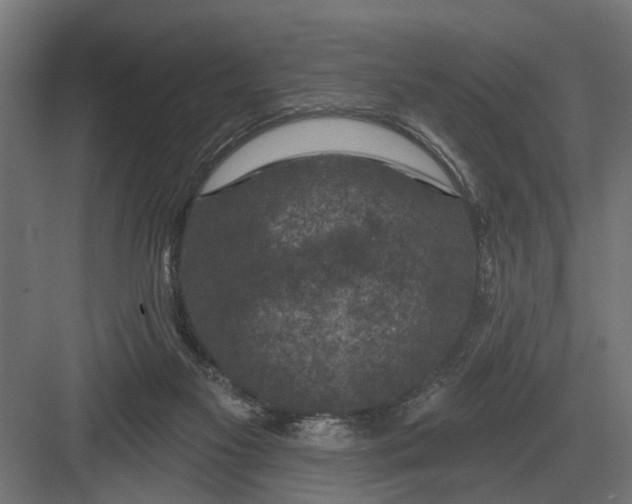 X0000082930117200702152157