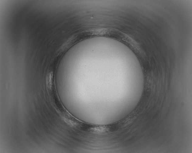 X0000082930118200702152157