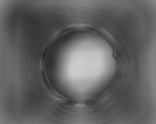 X0000082930119200702152157