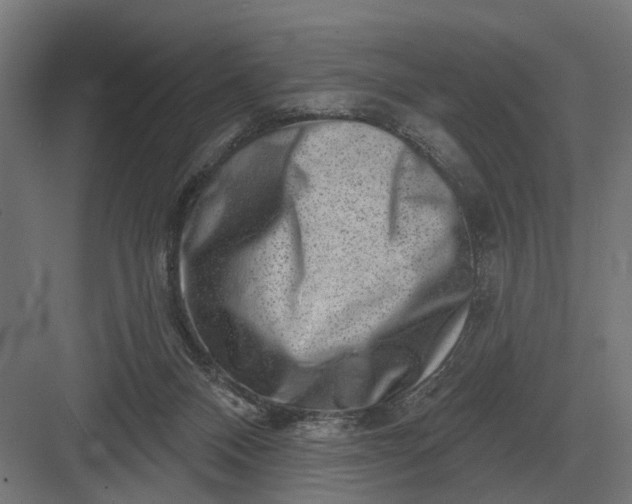 X0000082930120200702152157