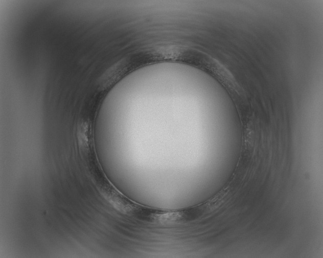 X0000082930122200702152157