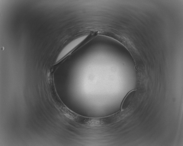 X0000082930123200702152157