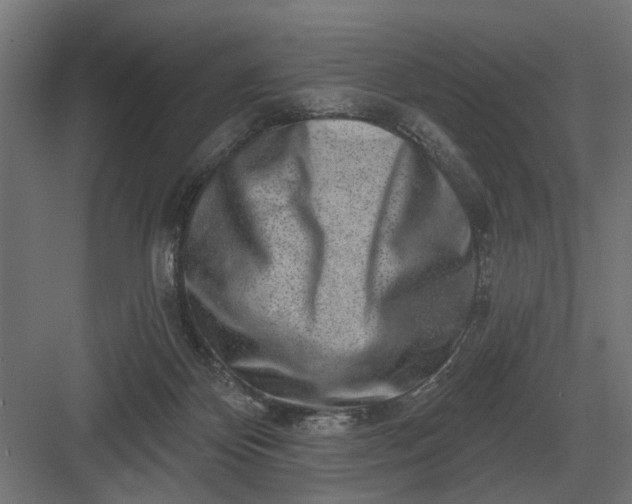 X0000082930124200702152157