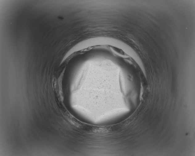 X0000082930125200702152157