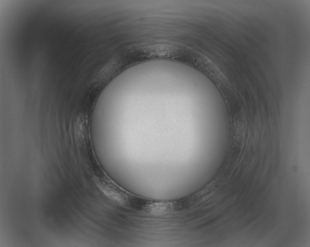 X0000082930126200702152157