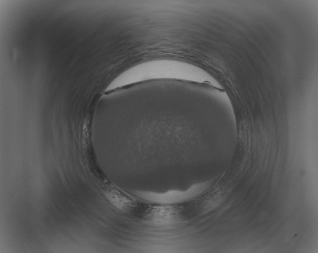 X0000082930127200702152157