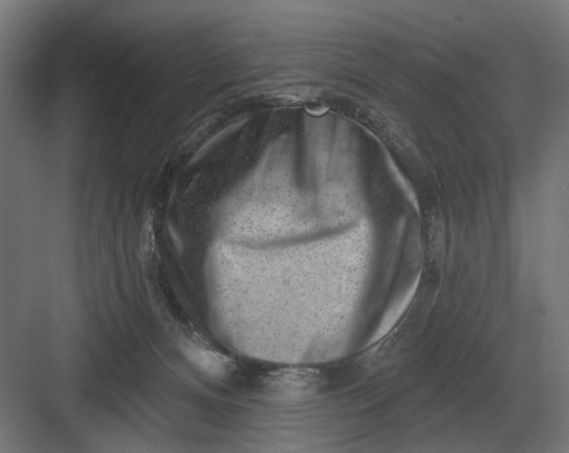 X0000082930128200702152157