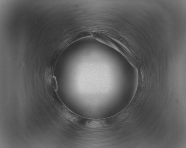 X0000082930129200702152157