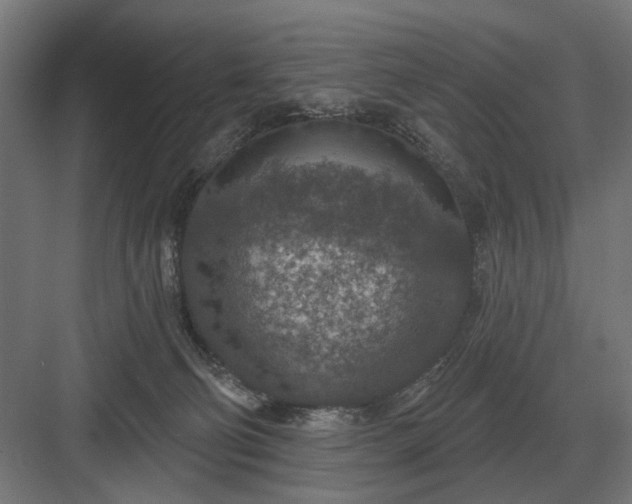 X0000082930130200702152157