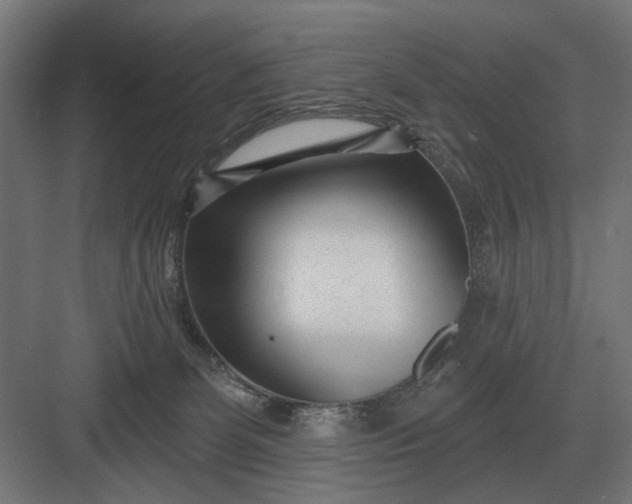 X0000082930131200702152157