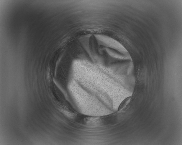 X0000082930132200702152157