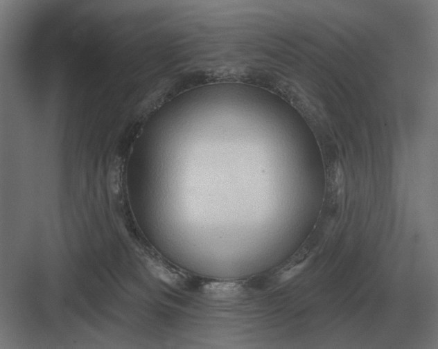 X0000082930133200702152157