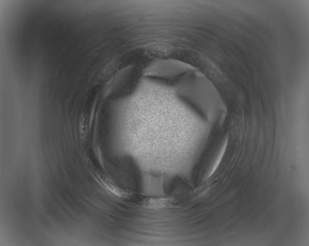 X0000082930134200702152157