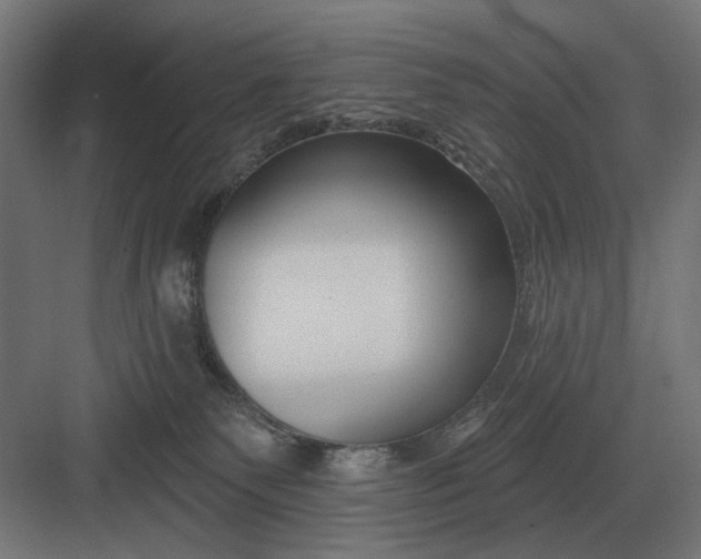 X0000082930135200702152157