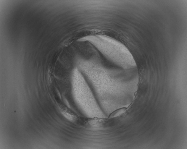 X0000082930136200702152157