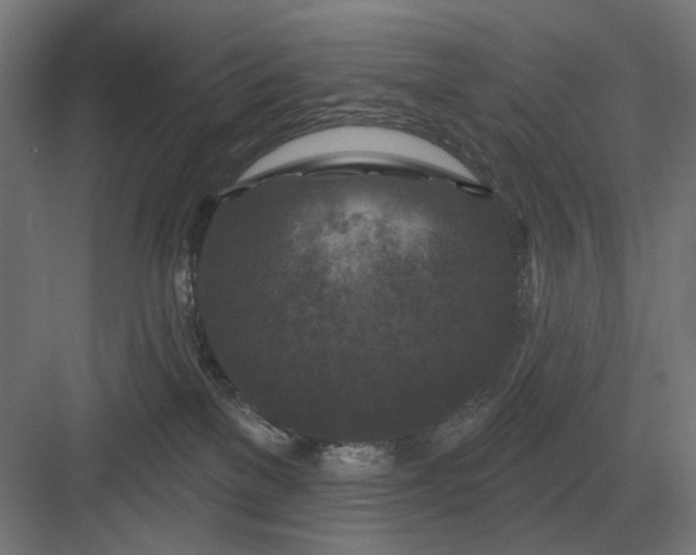 X0000082930137200702152157