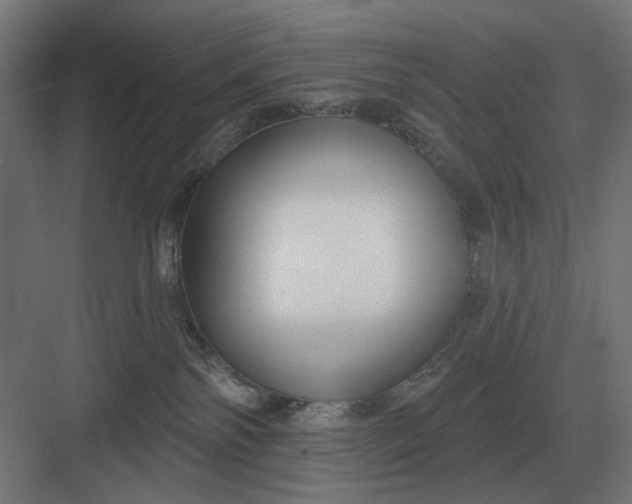 X0000082930138200702152157