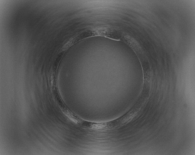 X0000082930139200702152157