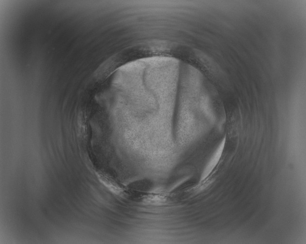 X0000082930140200702152157