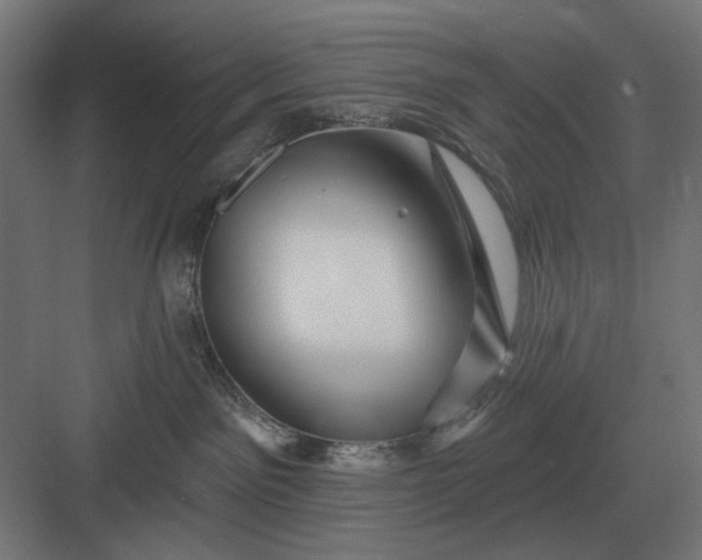 X0000082930141200702152157