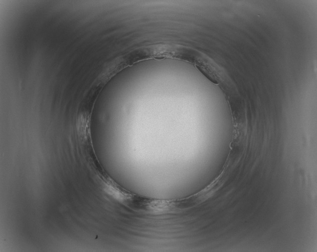 X0000082930142200702152157