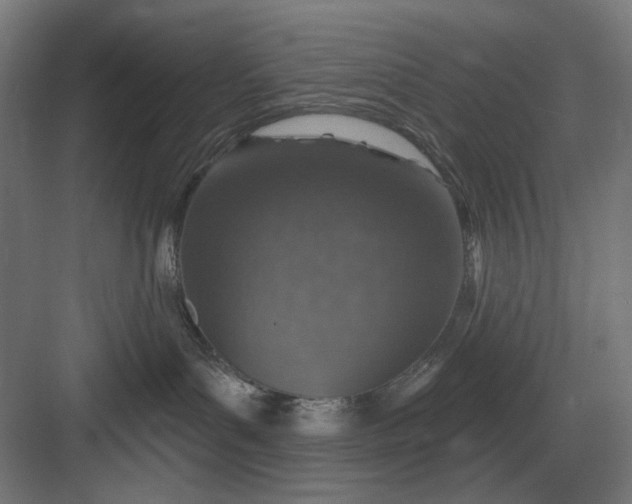 X0000082930143200702152157