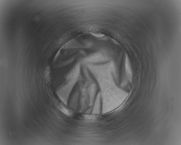 X0000082930144200702152157