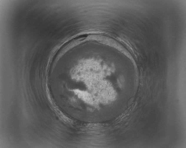 X0000082930145200702152156