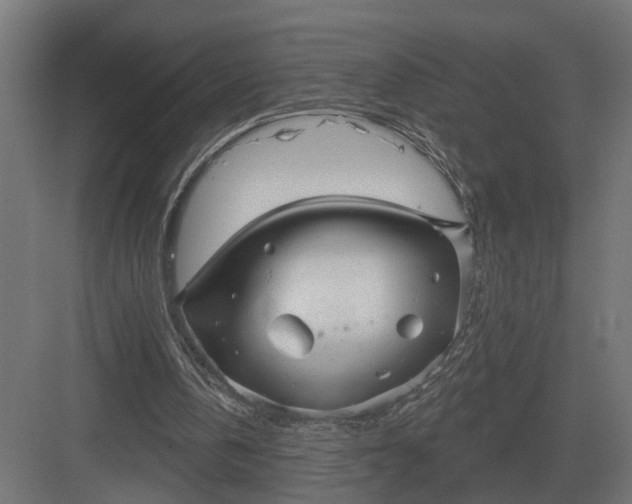 X0000082930146200702152156