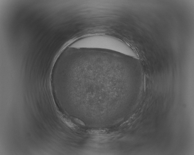 X0000082930147200702152156