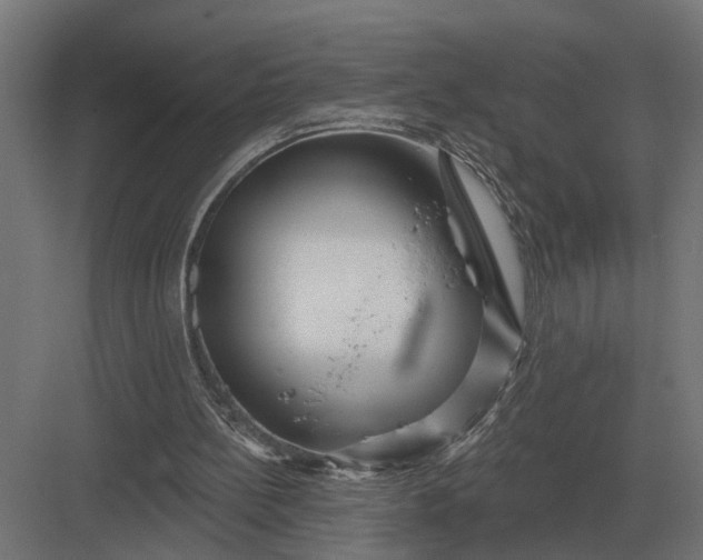 X0000082930148200702152156