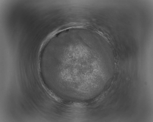 X0000082930149200702152156