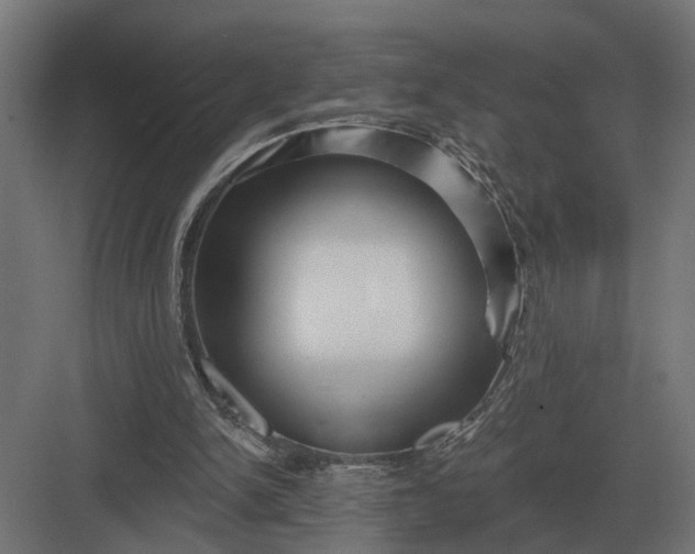 X0000082930150200702152156