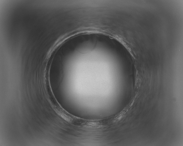 X0000082930151200702152156