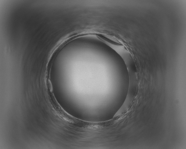 X0000082930152200702152156