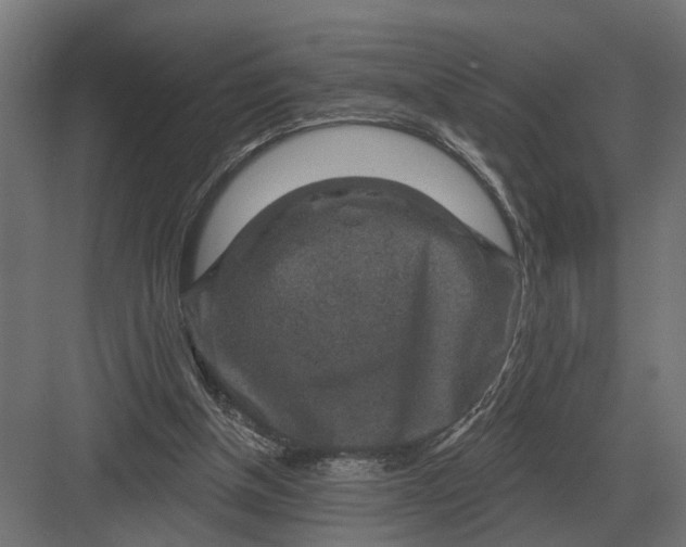 X0000082930154200702152156