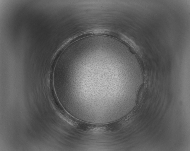 X0000082930155200702152156