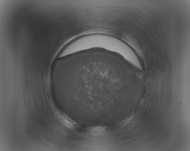 X0000082930156200702152156