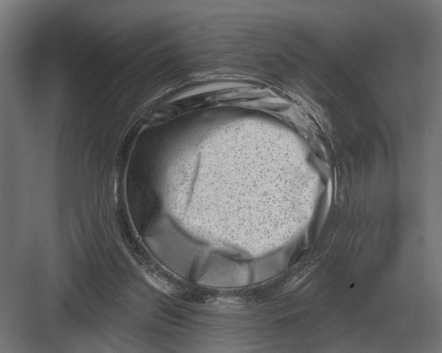 X0000082930157200702152156