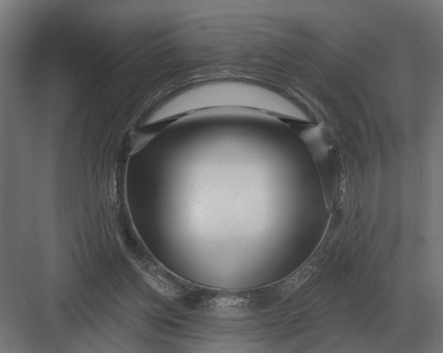 X0000082930158200702152156