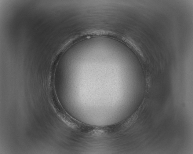 X0000082930159200702152156